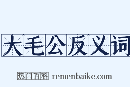 大毛公反义词是什么意思的图片